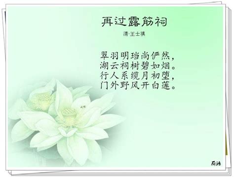 詠荷花詩詞